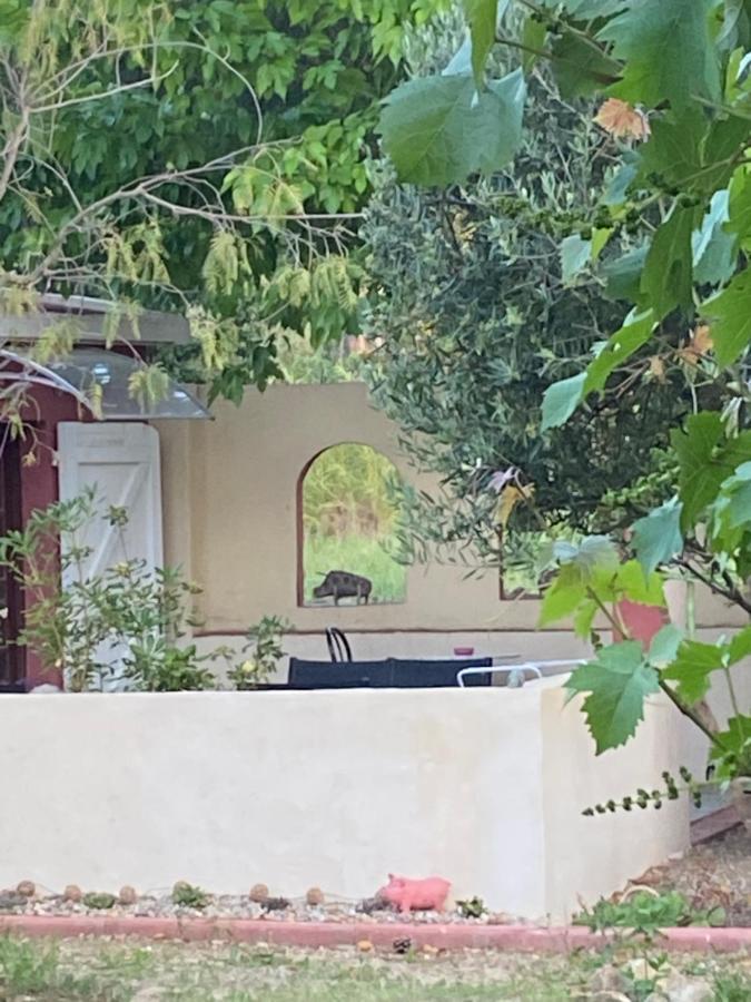 Alojamento de Acomodação e Pequeno-almoço Casa Di Floumy Calvi (Corsica)