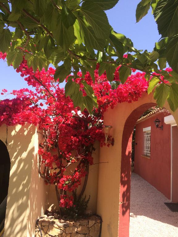 Alojamento de Acomodação e Pequeno-almoço Casa Di Floumy Calvi (Corsica)